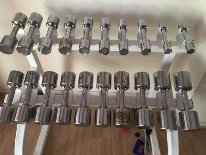 ให้เช่า - Lumpini Place Narathiwas 24 : ลุมพินี เพลส นราธิวาส 24, กรุงเทพ