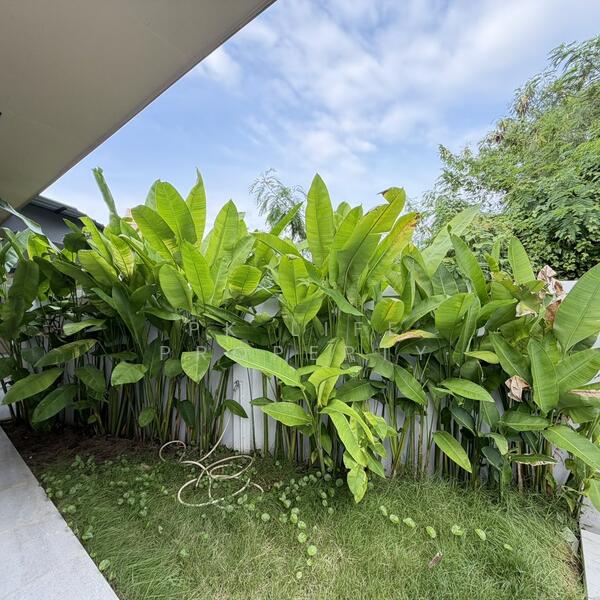 8R0807 Pool villa for rent 3 bedroom 3 bathroom 70,000/month at chalong, ภูเก็ต, ฉลอง, เมืองภูเก็ต, ภูเก็ต, 180 ตร.ม., วิลล่า ให้เช่า, โดย PK LIFE Property, 60233859 - DDproperty.com
