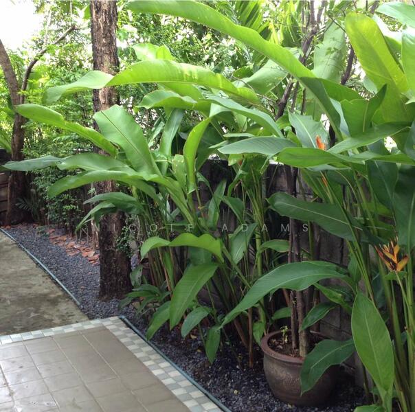 ขาย - Sammakorn Condominium : สัมมากร คอนโดมิเนียม, กรุงเทพ