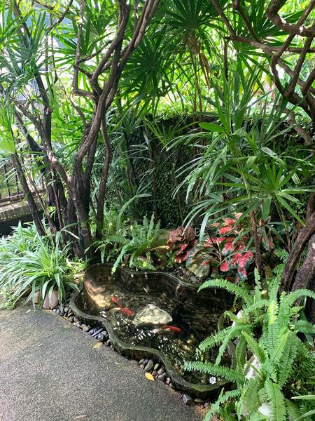 ขาย - Sammakorn Condominium : สัมมากร คอนโดมิเนียม, กรุงเทพ