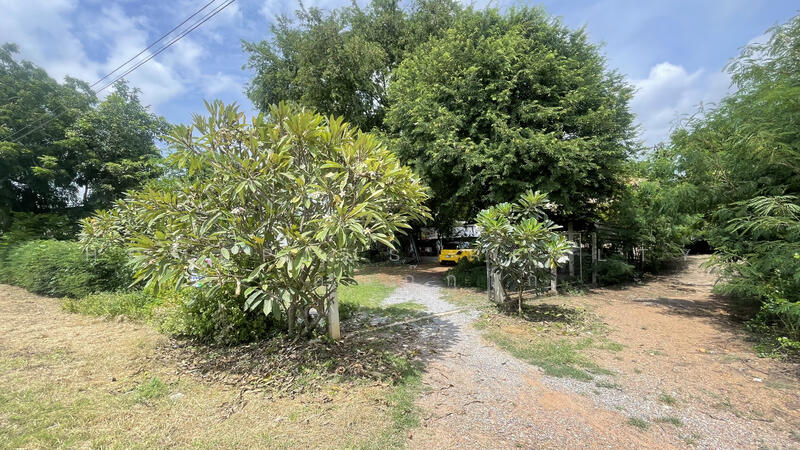 ขาย - ที่ดินบ้านเดี่ยวชั้นเดียวตำบลเชิงกลัด อำเภอบางระจัน สิงห์บุรี เนื่อที่ 204 ตารางวา, สิงห์บุรี