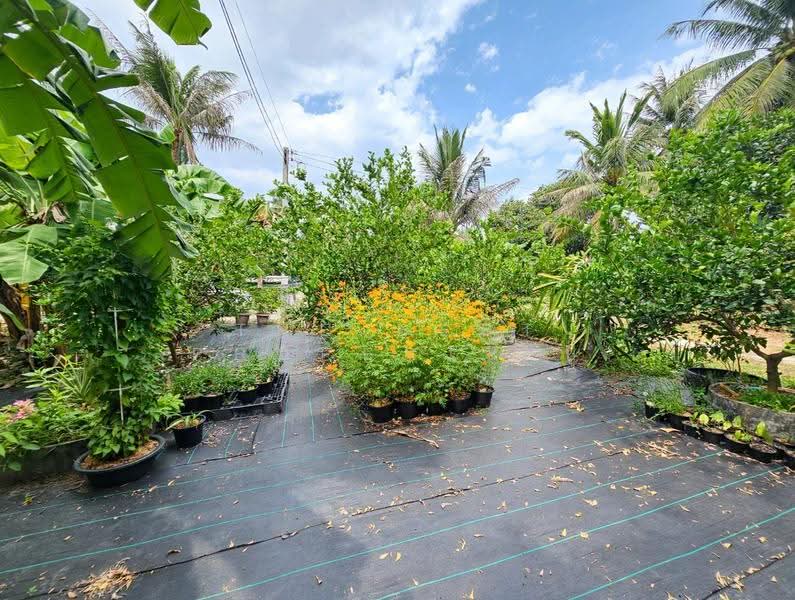 บ้านเดี่ยวพร้อมที่ดินบ้านบึง ชลบุรี, Chon Buri (Pattaya), Nong Samsak, Ban Bung, Chon Buri (Pattaya), 3 Bedrooms, 200 sqm, Single Detached House For Sale, by The Best Property ปู, 60234888 - DDproperty.com