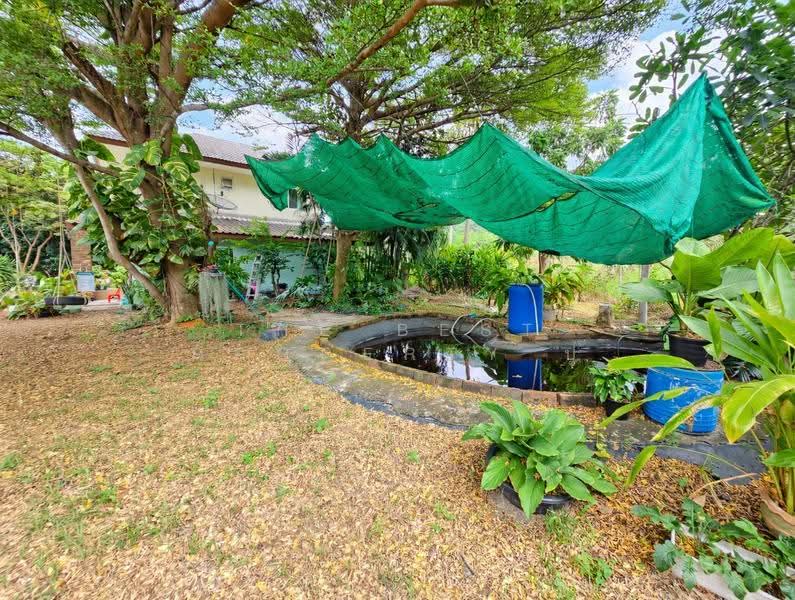 บ้านเดี่ยวพร้อมที่ดินบ้านบึง ชลบุรี, Chon Buri (Pattaya), Nong Samsak, Ban Bung, Chon Buri (Pattaya), 3 Bedrooms, 200 sqm, Single Detached House For Sale, by The Best Property ปู, 60234888 - DDproperty.com
