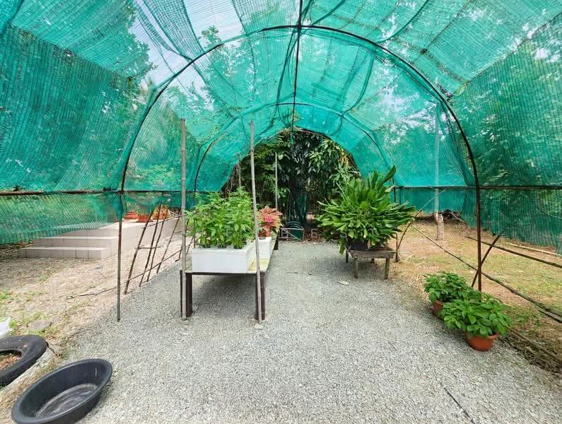 บ้านเดี่ยวพร้อมที่ดินบ้านบึง ชลบุรี, Chon Buri (Pattaya), Nong Samsak, Ban Bung, Chon Buri (Pattaya), 3 Bedrooms, 200 sqm, Single Detached House For Sale, by The Best Property ปู, 60234888 - DDproperty.com