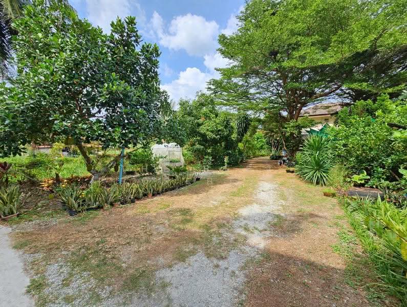 บ้านเดี่ยวพร้อมที่ดินบ้านบึง ชลบุรี, ชลบุรี, หนองซ้ำซาก, บ้านบึง, ชลบุรี, 200 ตร.ม., บ้านเดี่ยว ขาย, โดย The Best Property ปู, 60234888 - DDproperty.com