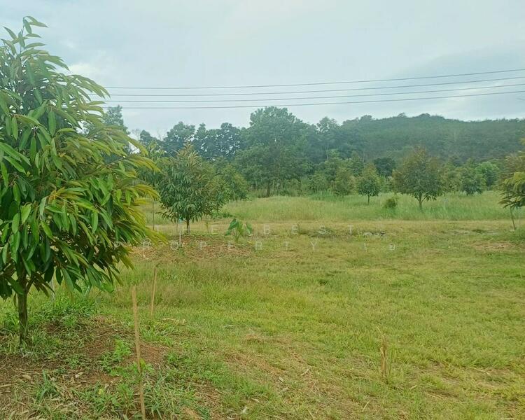 ขาย - ที่ดินท่าใหม่ จันทบุรี, จันทบุรี