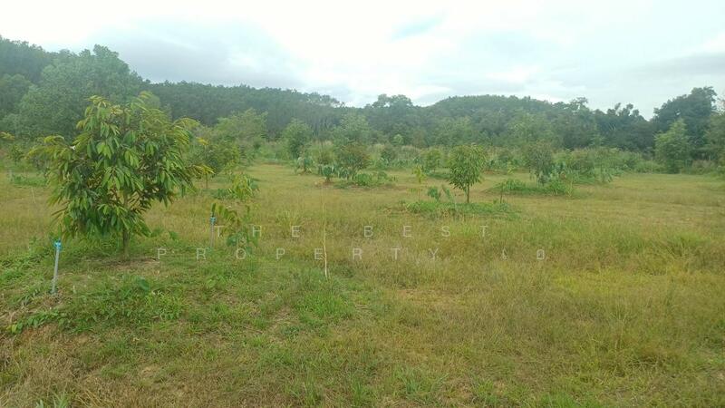 ขาย - ที่ดินท่าใหม่ จันทบุรี, จันทบุรี