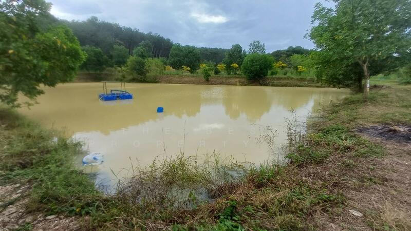 ขาย - ที่ดินท่าใหม่ จันทบุรี, จันทบุรี