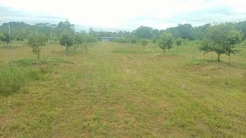 ขาย - ที่ดินท่าใหม่ จันทบุรี, จันทบุรี