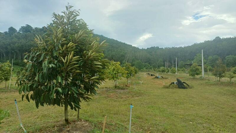 ขาย - ที่ดินท่าใหม่ จันทบุรี, จันทบุรี