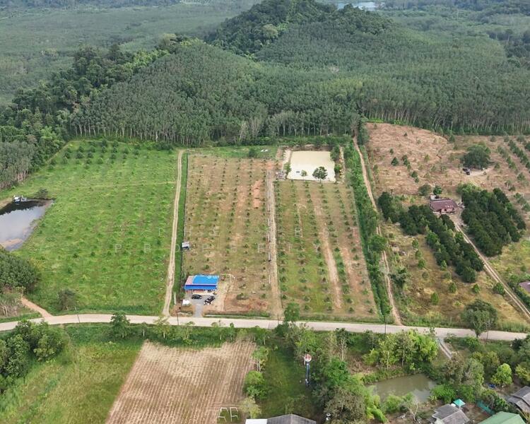 ขาย - ที่ดินท่าใหม่ จันทบุรี, จันทบุรี