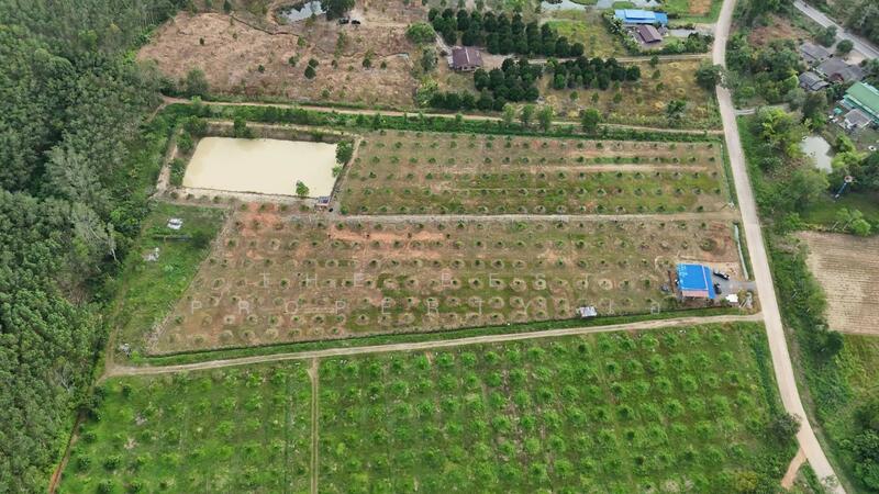 ขาย - ที่ดินท่าใหม่ จันทบุรี, จันทบุรี