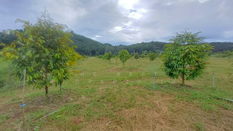 ขาย - ที่ดินท่าใหม่ จันทบุรี, จันทบุรี