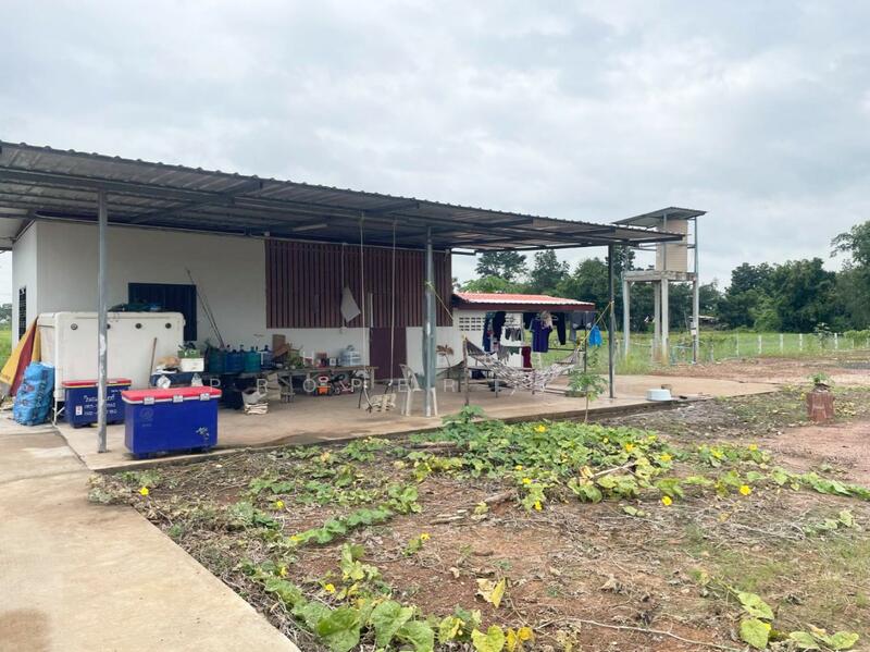 ขาย - ที่ดินพร้อมสิ่งปลูกสร้างประโคนชัย บุรีรัมย์, บุรีรัมย์