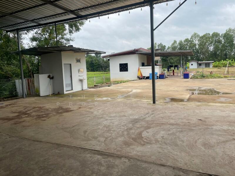 ขาย - ที่ดินพร้อมสิ่งปลูกสร้างประโคนชัย บุรีรัมย์, บุรีรัมย์