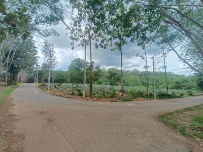 ขาย - ที่ดินหนองโสน ตราด, ตราด