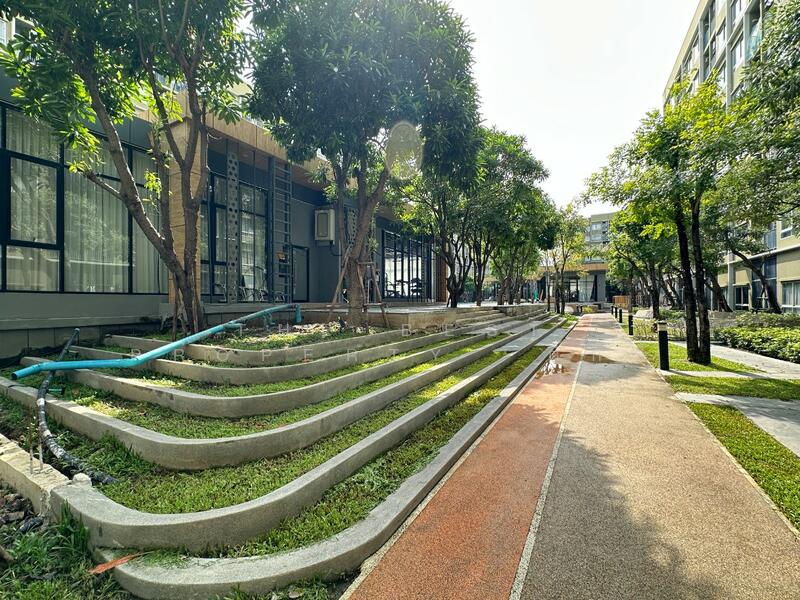 ขาย - พลัมคอนโด รังสิต อไลฟ์(Plum Condo Rangsit Alive), ปทุมธานี