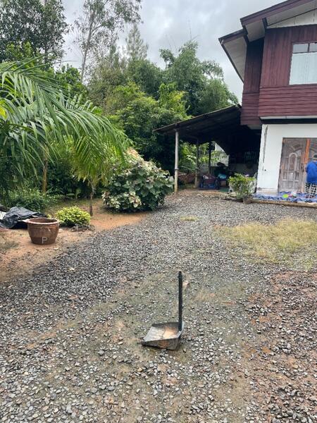 ขาย - บ้านเดี่ยวพร้อมที่ดินประโคนชัย บุรีรัมย์, บุรีรัมย์