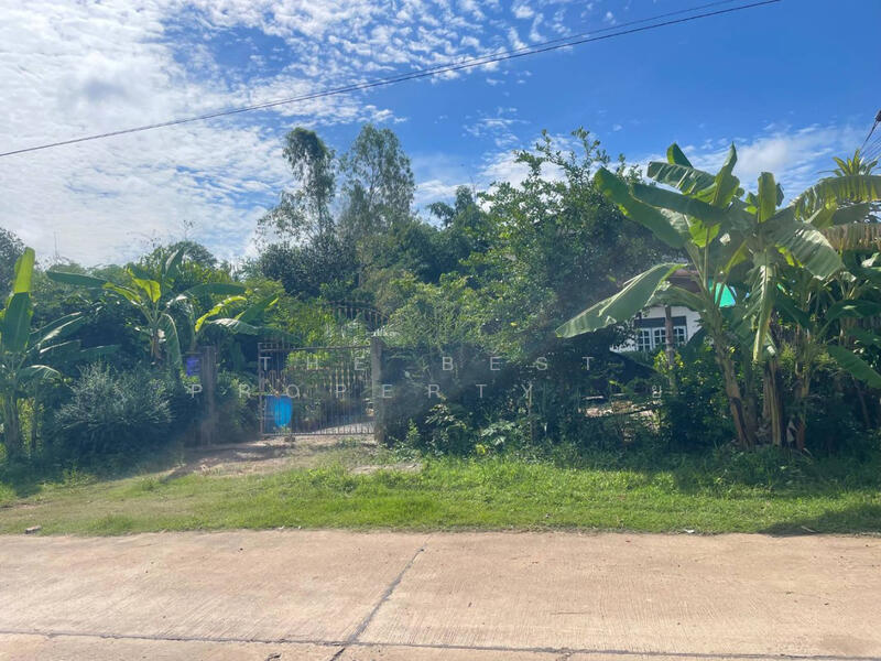 ขาย - บ้านเดี่ยวพร้อมที่ดินประโคนชัย บุรีรัมย์, บุรีรัมย์