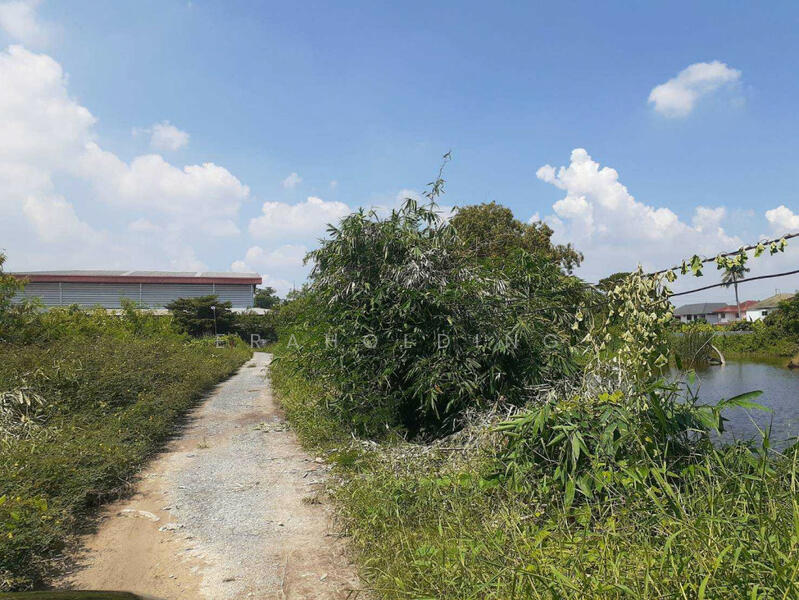 ขาย - ย่านถนนสุวินทวงศ์, กรุงเทพ