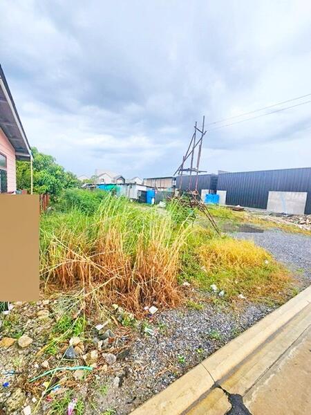 ขาย - หาไม่เจอ, กรุงเทพ