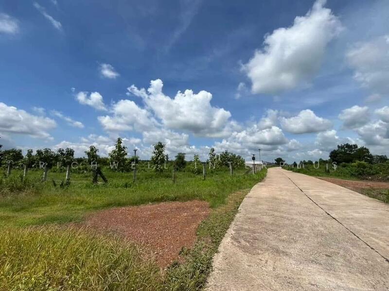 ขาย - ขายที่ดินสีม่วงหลังนิคมโรจนะ 23 ไร่ หลังรง.ฮอนด้า ใกล้ถนน304-3กม. อ.ศรีมหาโพธิ, ปราจีนบุรี