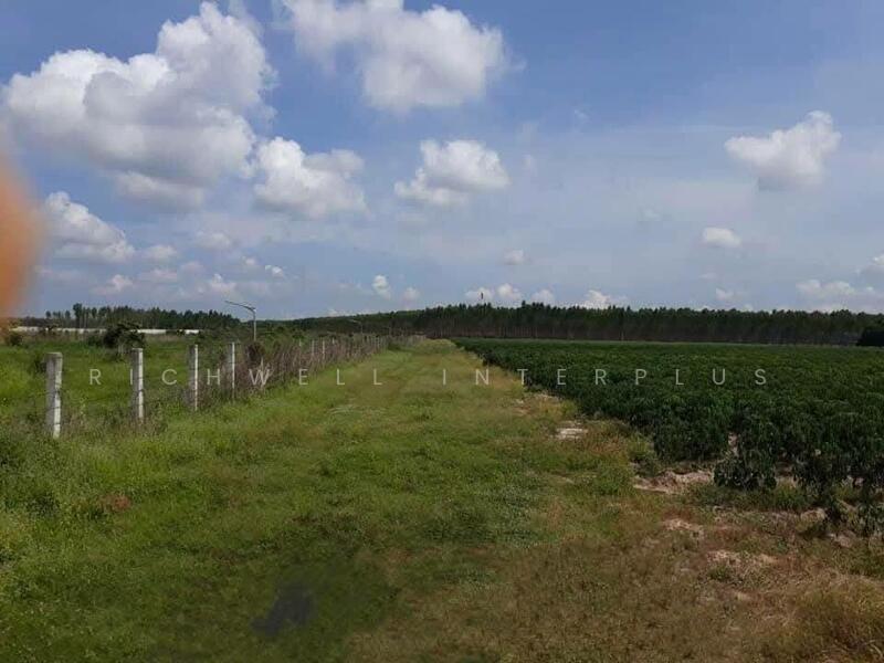 ขาย - ขายที่ดินสีม่วงหลังนิคมโรจนะ 23 ไร่ หลังรง.ฮอนด้า ใกล้ถนน304-3กม. อ.ศรีมหาโพธิ, ปราจีนบุรี