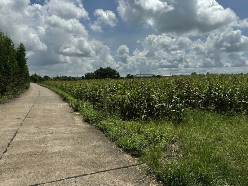 ขาย - ขายที่ดินสีม่วงหลังนิคมโรจนะ 23 ไร่ หลังรง.ฮอนด้า ใกล้ถนน304-3กม. อ.ศรีมหาโพธิ, ปราจีนบุรี