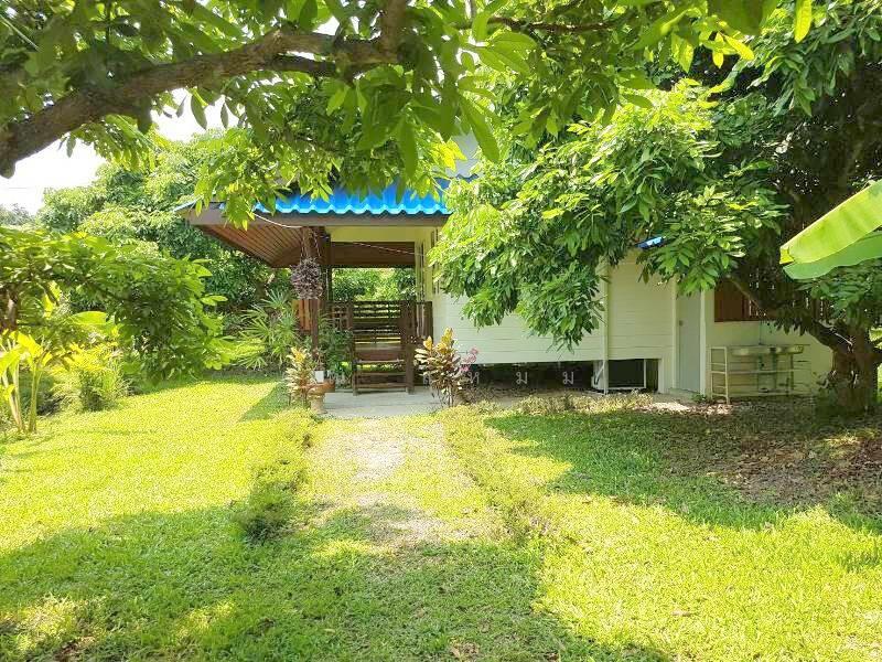 ให้เช่า - บ้านสวนย่านสันทราย, เชียงใหม่