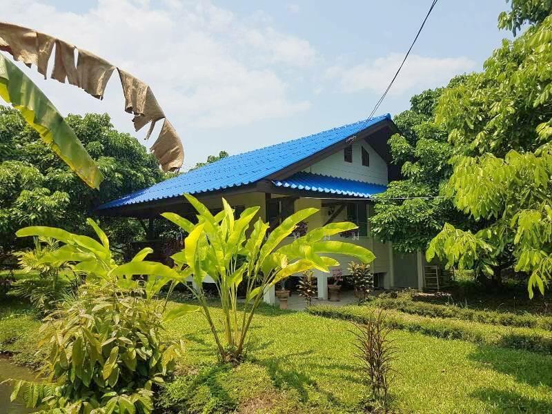 ให้เช่า - บ้านสวนย่านสันทราย, เชียงใหม่