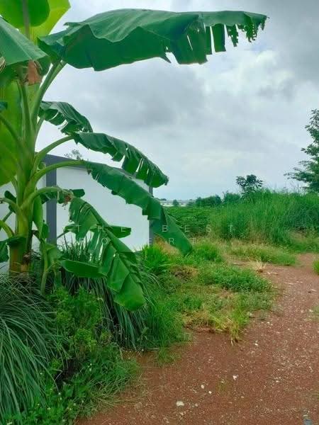 ที่ดินศรีมหาโพธิ ปราจีนบุรี, Prachin Buri, Tha Tum, Sri Maha Pho, Prachin Buri, , 6,584 sqm, Land For Sale, by The Best Property พิน, 60236514 - DDproperty.com