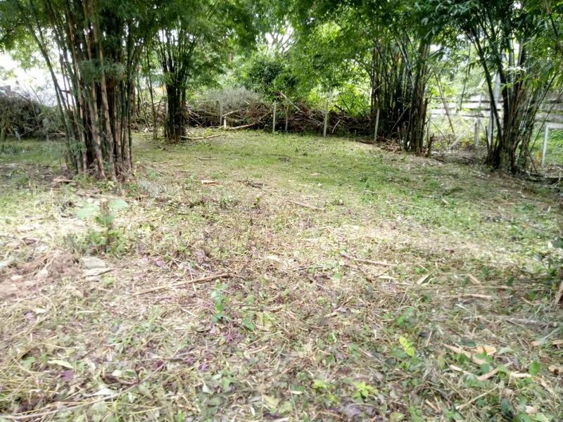 ขาย - ที่ดินสาริกา นครนายก, นครนายก