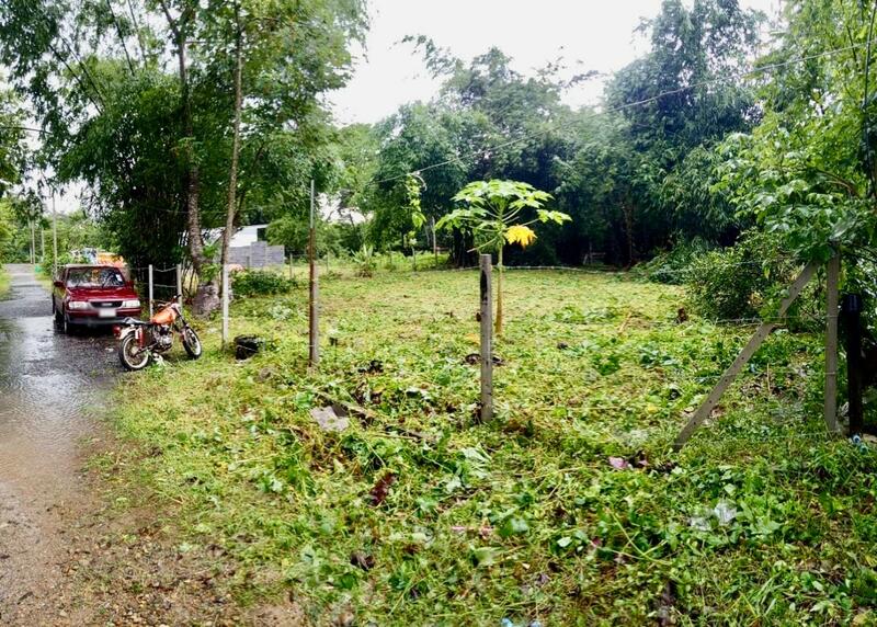 ขาย - ที่ดินสาริกา นครนายก, นครนายก