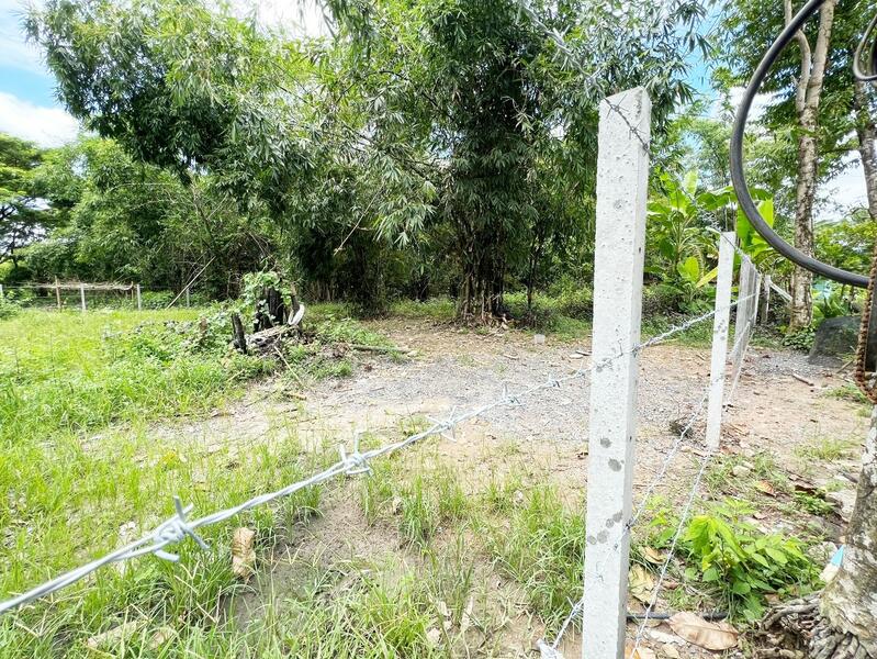 ขาย - ที่ดินสาริกา นครนายก, นครนายก