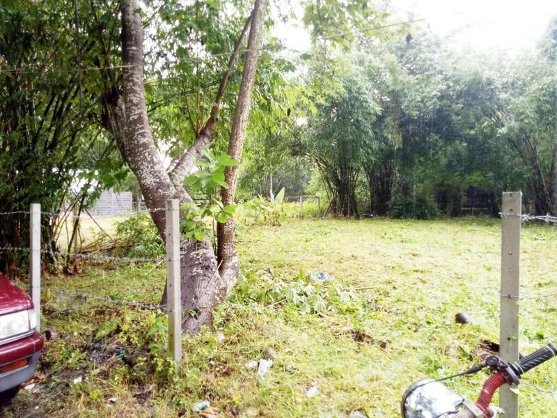 ขาย - ที่ดินสาริกา นครนายก, นครนายก