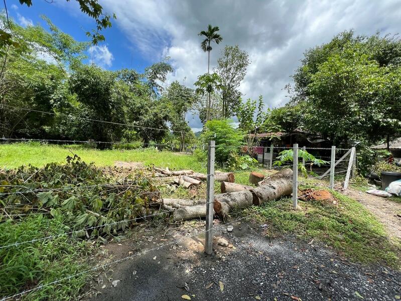 ขาย - ที่ดินสาริกา นครนายก, นครนายก