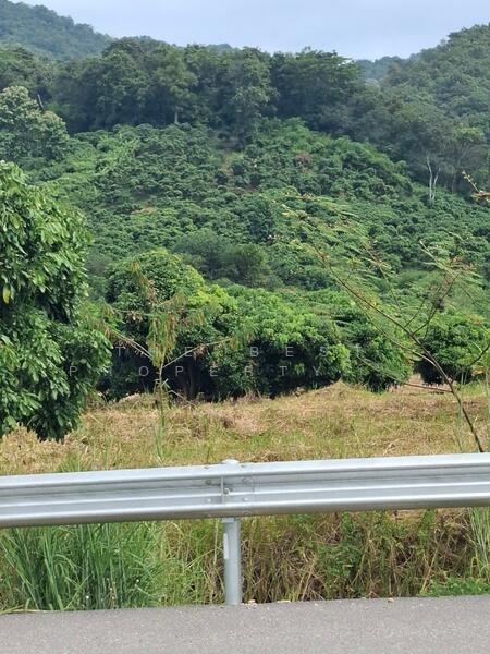 ขาย - ที่ดินเทิง เชียงราย, เชียงราย