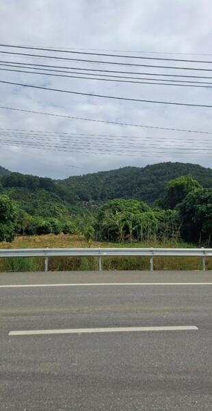 ขาย - ที่ดินเทิง เชียงราย, เชียงราย