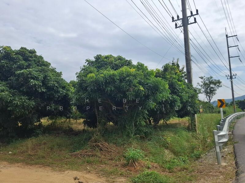 ขาย - ที่ดินเทิง เชียงราย, เชียงราย