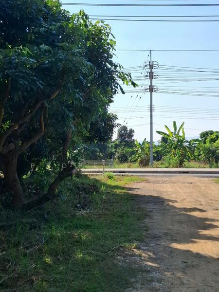 ขาย - ที่ดินเทิง เชียงราย, เชียงราย