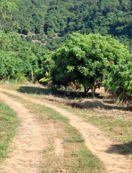 ขาย - ที่ดินเทิง เชียงราย, เชียงราย