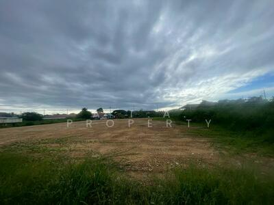 ขาย - ที่ดินทำ ถนนข้าวหลาม - บางแสน ชลบุรี, ชลบุรี