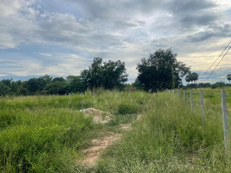 For Sale - ที่ดินประโคนชัย บุรีรัมย์, Buri Ram