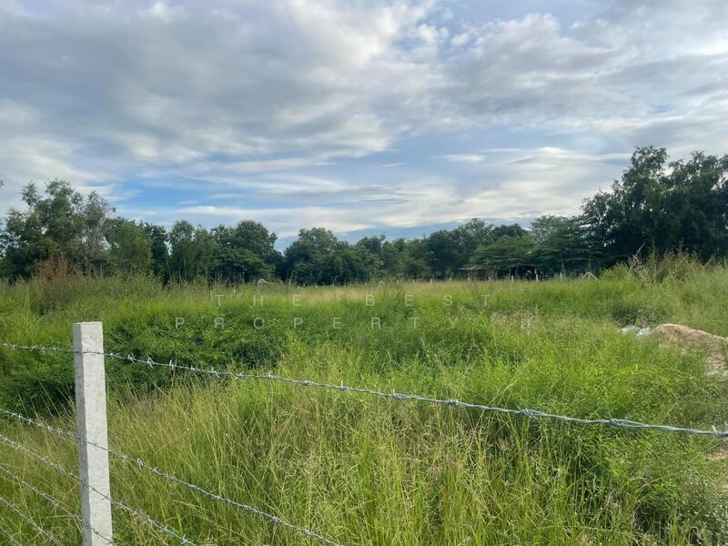 For Sale - ที่ดินประโคนชัย บุรีรัมย์, Buri Ram