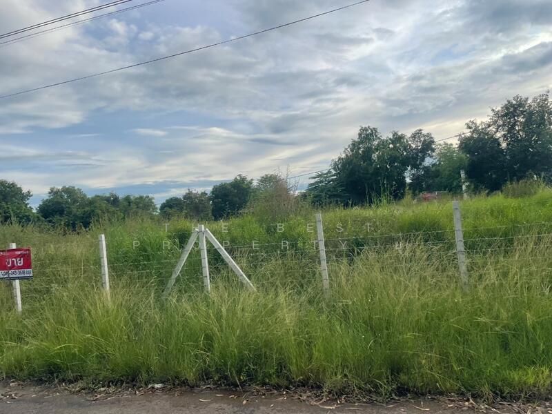 For Sale - ที่ดินประโคนชัย บุรีรัมย์, Buri Ram