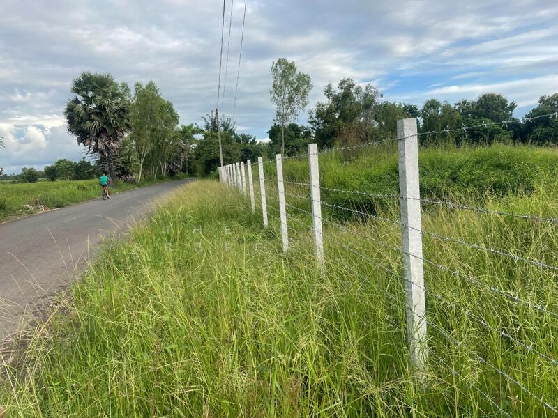 ขาย - ที่ดินประโคนชัย บุรีรัมย์, บุรีรัมย์