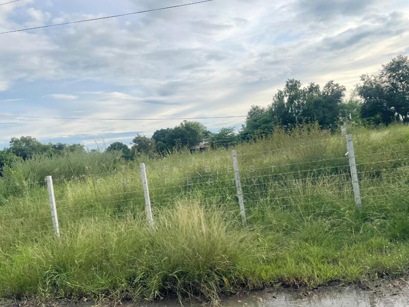 For Sale - ที่ดินประโคนชัย บุรีรัมย์, Buri Ram