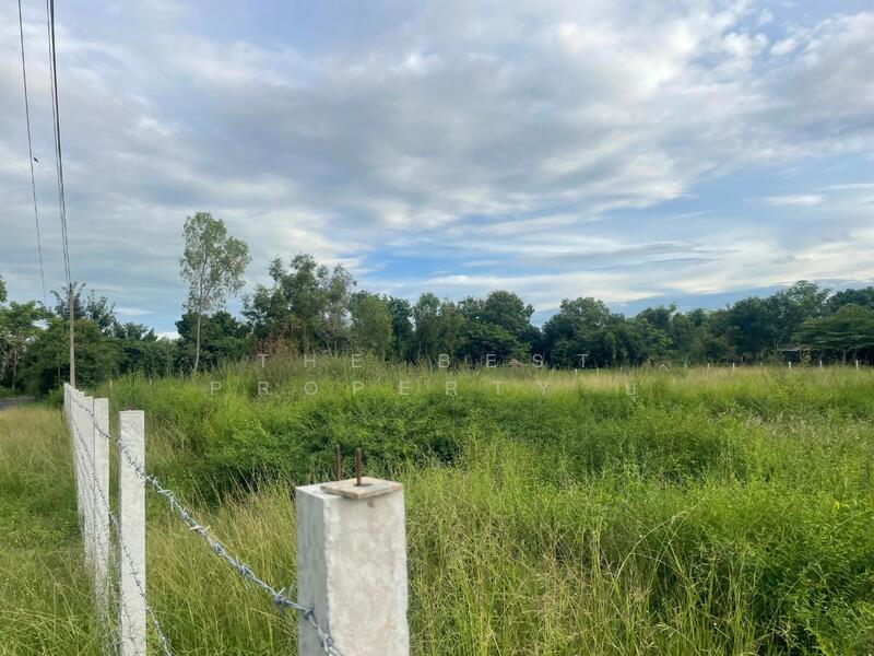 For Sale - ที่ดินประโคนชัย บุรีรัมย์, Buri Ram