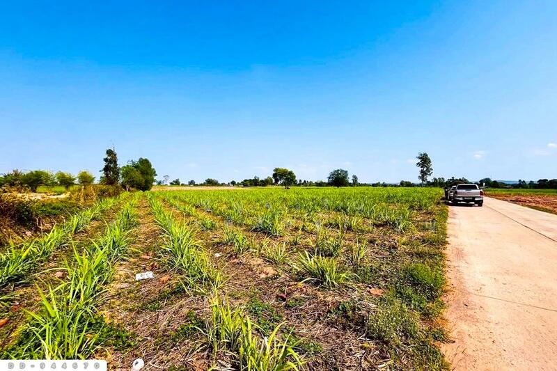 For Sale - DD-944670 Land in Khok Klang, 45 rai, 387 sq wah, Non Sa-at, Udon Thani, Udon Thani