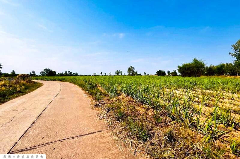 For Sale - DD-944670 Land in Khok Klang, 45 rai, 387 sq wah, Non Sa-at, Udon Thani, Udon Thani